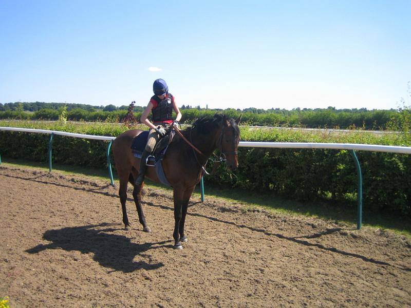 Newmarket_2010_051.jpg