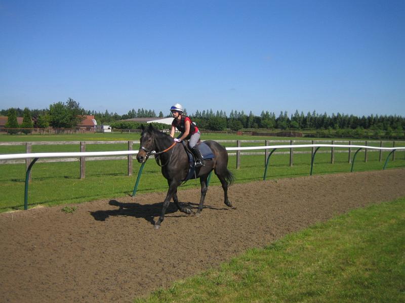 Newmarket_2010_055.jpg