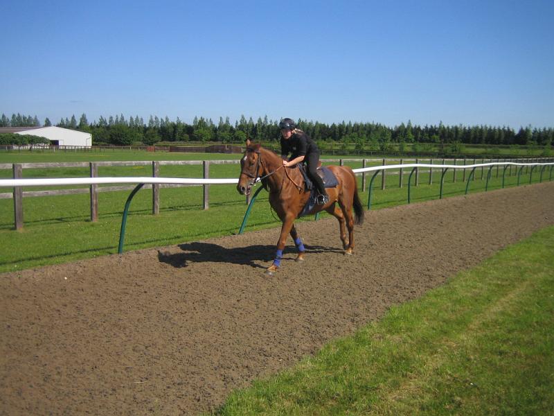 Newmarket_2010_057.jpg