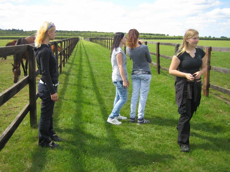 Newmarket_2010_071.jpg