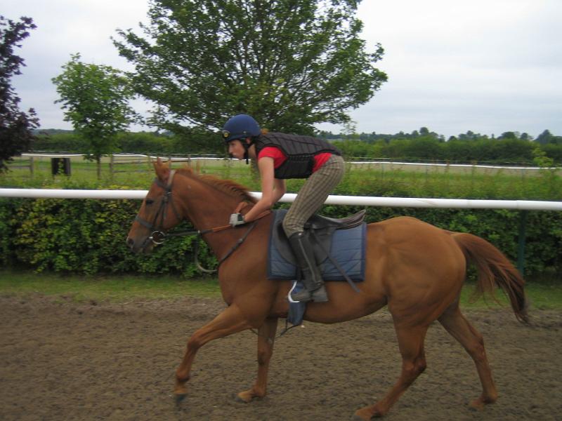 Newmarket_2010_074.jpg