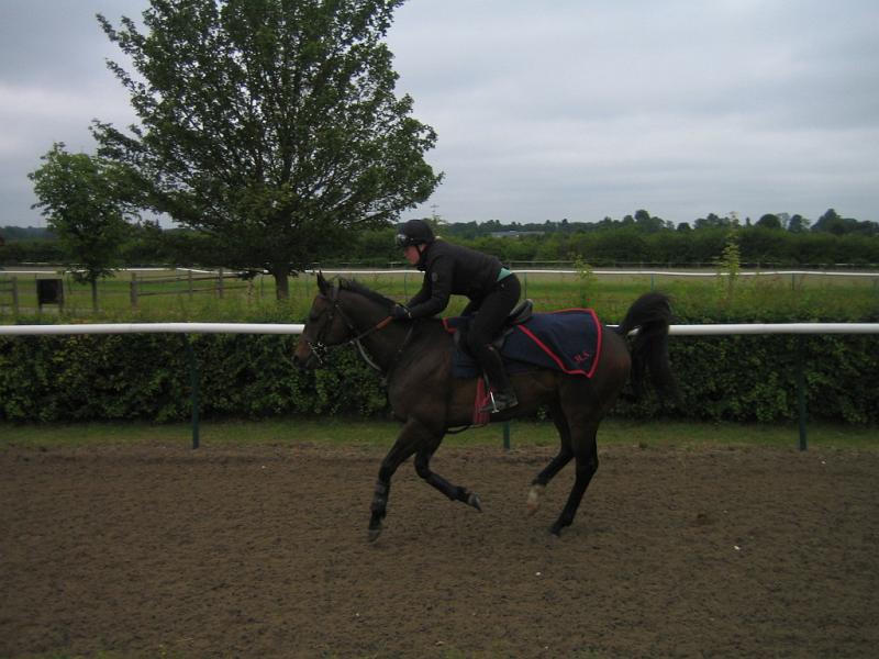Newmarket_2010_076.jpg