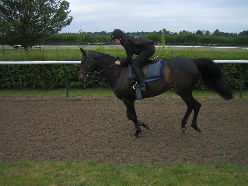 Newmarket_2010_077.jpg