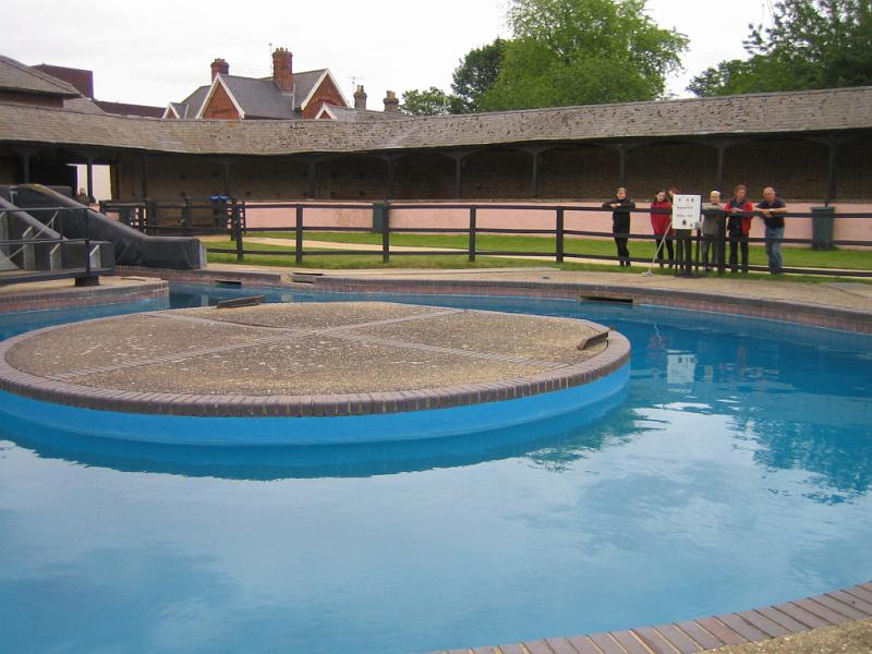 Newmarket_2010_082.jpg