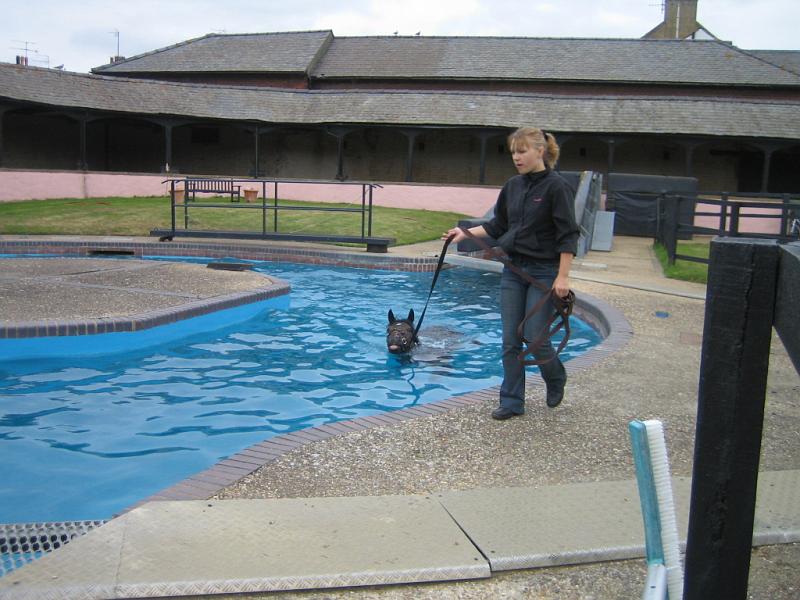 Newmarket_2010_083.jpg