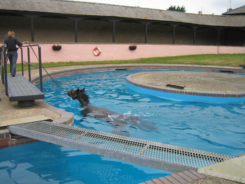 Newmarket_2010_084.jpg