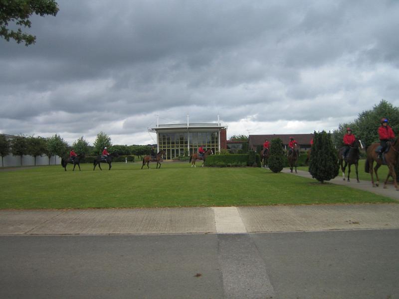Newmarket_2010_085.jpg
