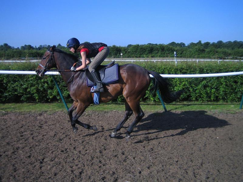 Newmarket_2010_109.jpg
