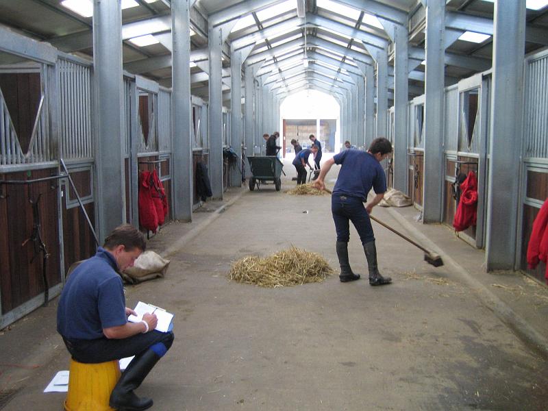 Newmarket_2010_114.jpg