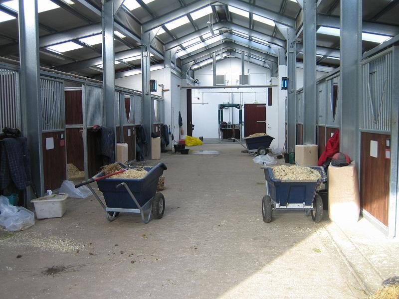 Newmarket_2010_116.jpg