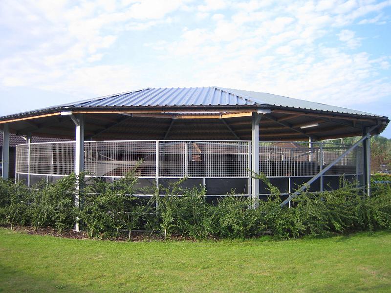 Newmarket_2010_118.jpg