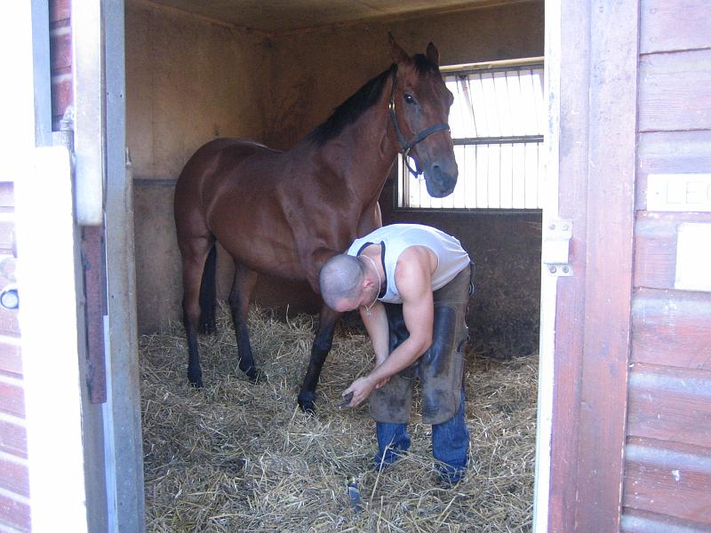 Newmarket_2010_121.jpg
