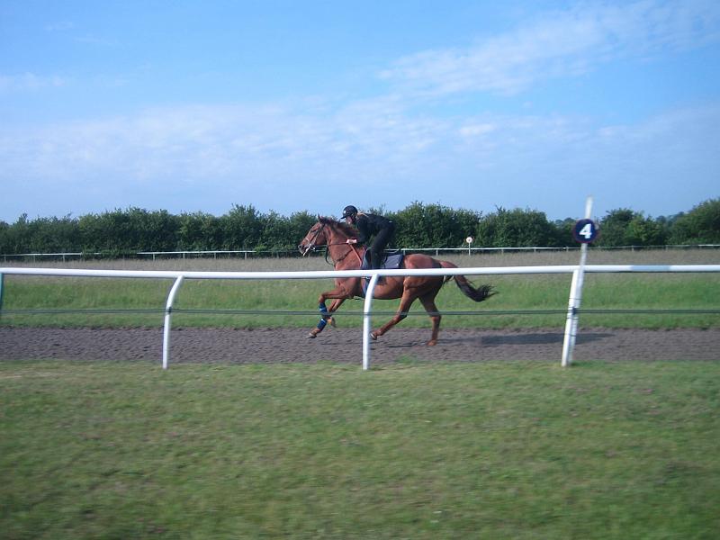 Newmarket_2010_124.jpg