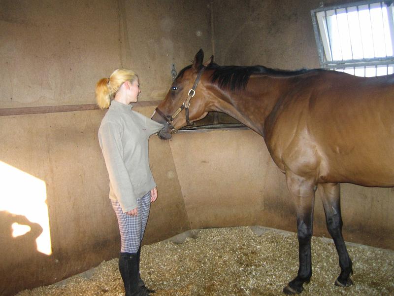 Newmarket_2010_132.jpg