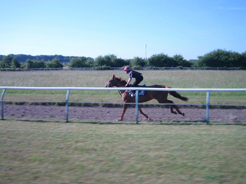 Newmarket_2010_133.jpg