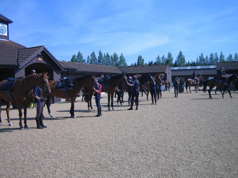 Newmarket_2010_134.jpg