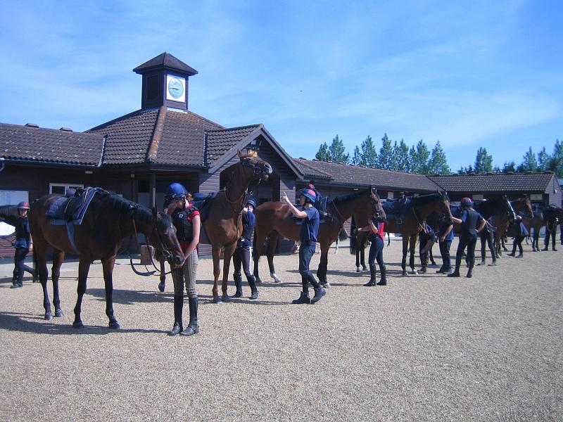Newmarket_2010_135.jpg