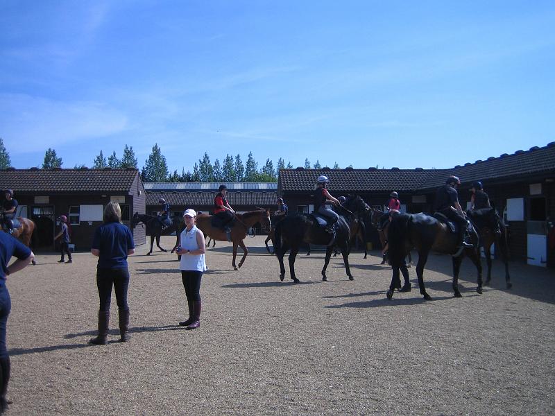 Newmarket_2010_137.jpg