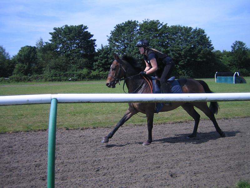 Newmarket_2010_138.jpg