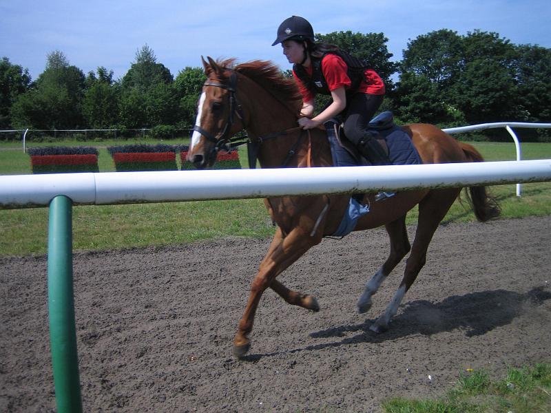 Newmarket_2010_140.jpg