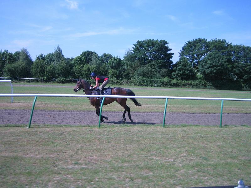 Newmarket_2010_145.jpg