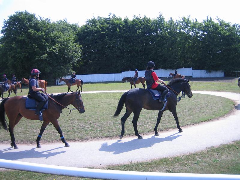 Newmarket_2010_159.jpg