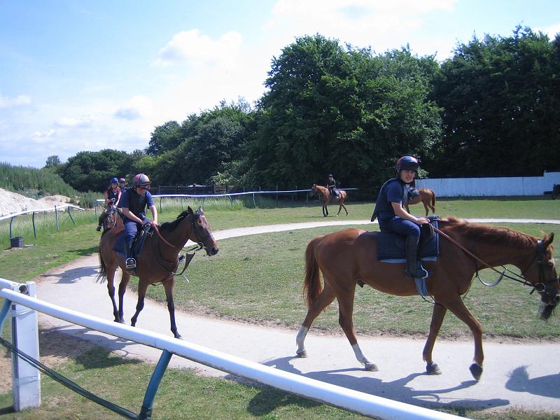 Newmarket_2010_160.jpg