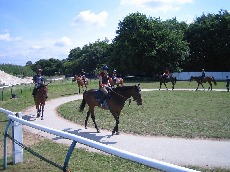 Newmarket_2010_161.jpg