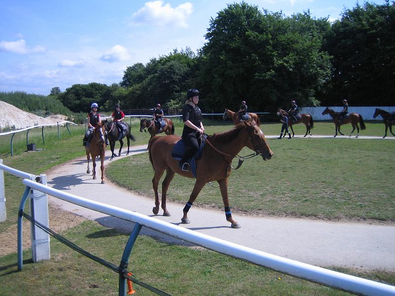 Newmarket_2010_162.jpg