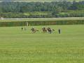 Newmarket_2010_012