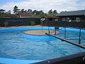 Newmarket_2010_027