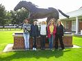 Newmarket_2010_036