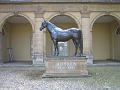 Newmarket_2010_038