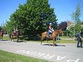 Newmarket_2010_044