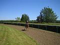Newmarket_2010_050