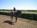 Newmarket_2010_051