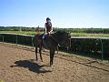 Newmarket_2010_052