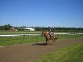 Newmarket_2010_054