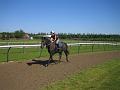 Newmarket_2010_055