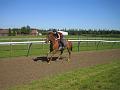 Newmarket_2010_056
