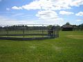 Newmarket_2010_062