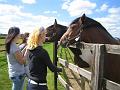 Newmarket_2010_072