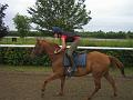 Newmarket_2010_074