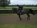 Newmarket_2010_077