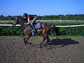Newmarket_2010_109