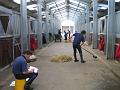 Newmarket_2010_114