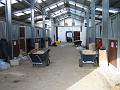 Newmarket_2010_116