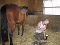 Newmarket_2010_120