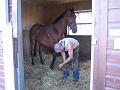 Newmarket_2010_121