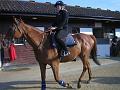 Newmarket_2010_122